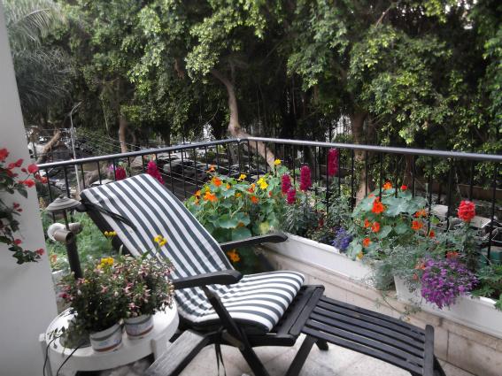 Tel Aviv balcony chair and garden home swap